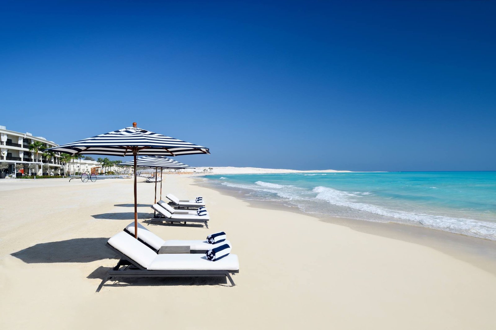Why Alamein Should Be Your Next Summer Destination