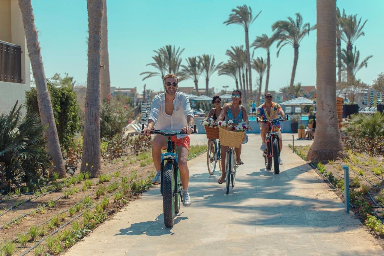 New PostFree and Fun Activities in Alamein